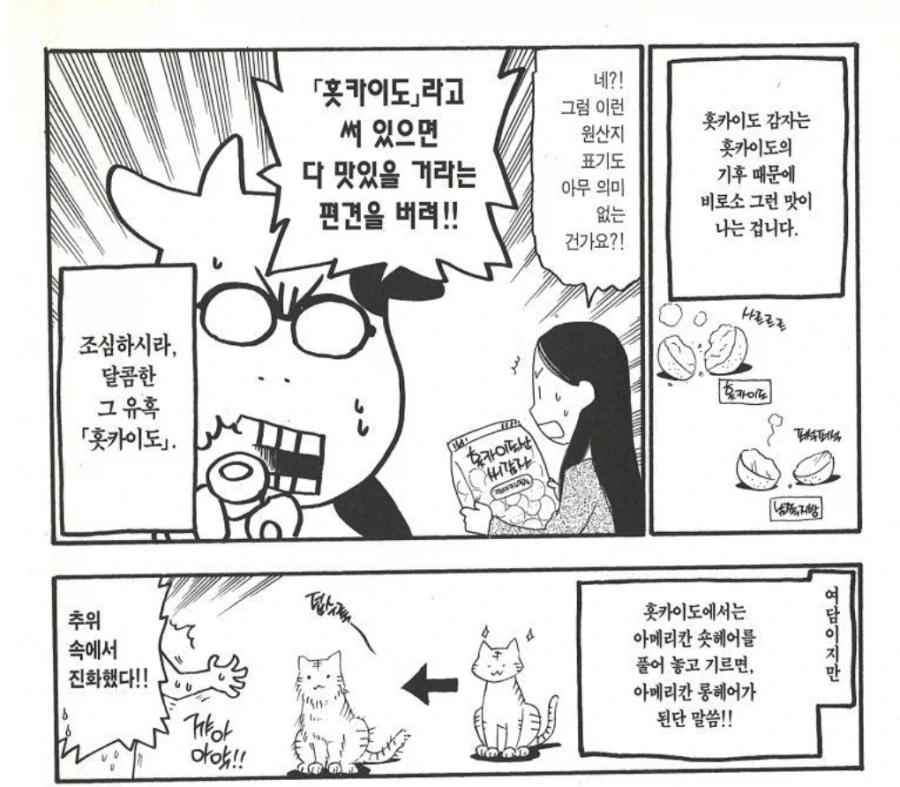 manga_76909370_8c56_002.webp