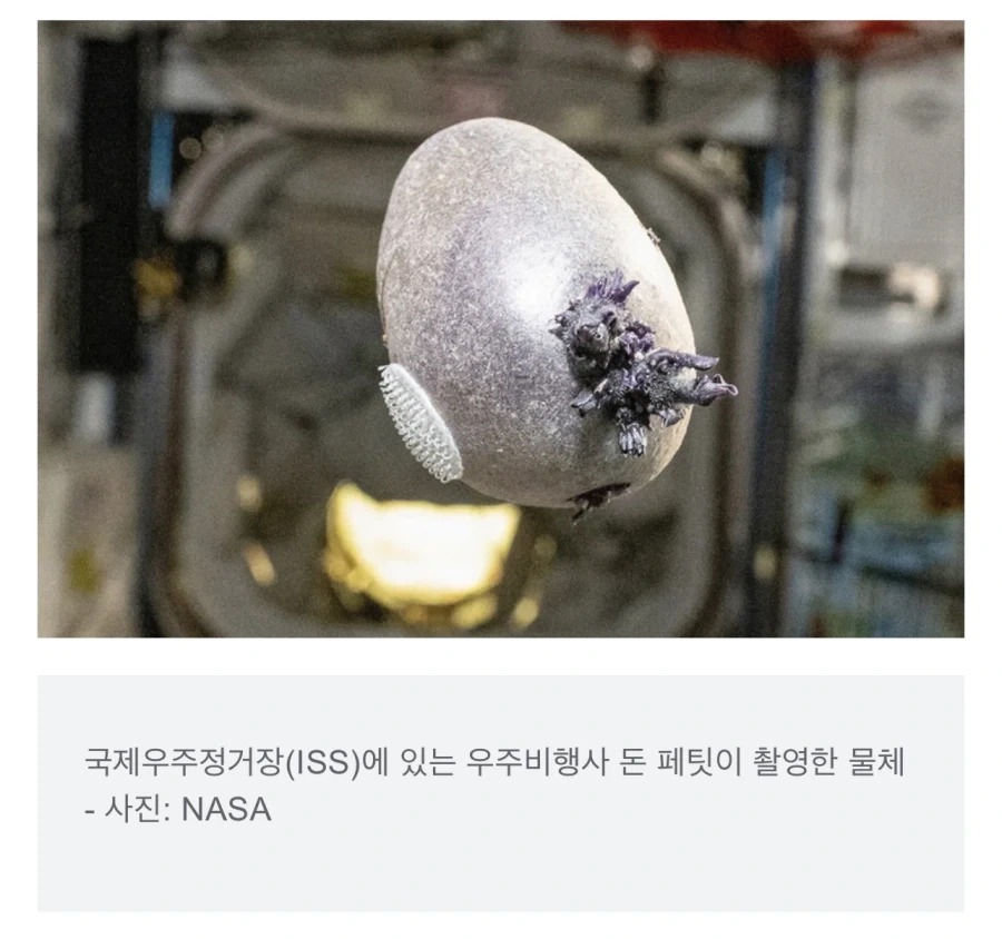 우주정거장에서 무슨 실험을 하는거야 ㅁㅊㄴ아!!!!!_1.webp