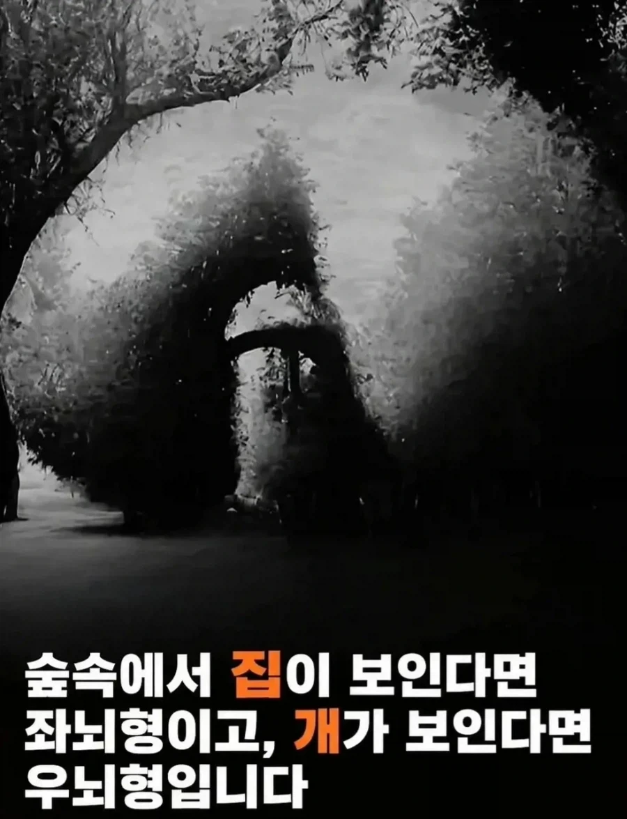 좌뇌형 우뇌형 타입 구별이 가능하다는 그림_1.webp
