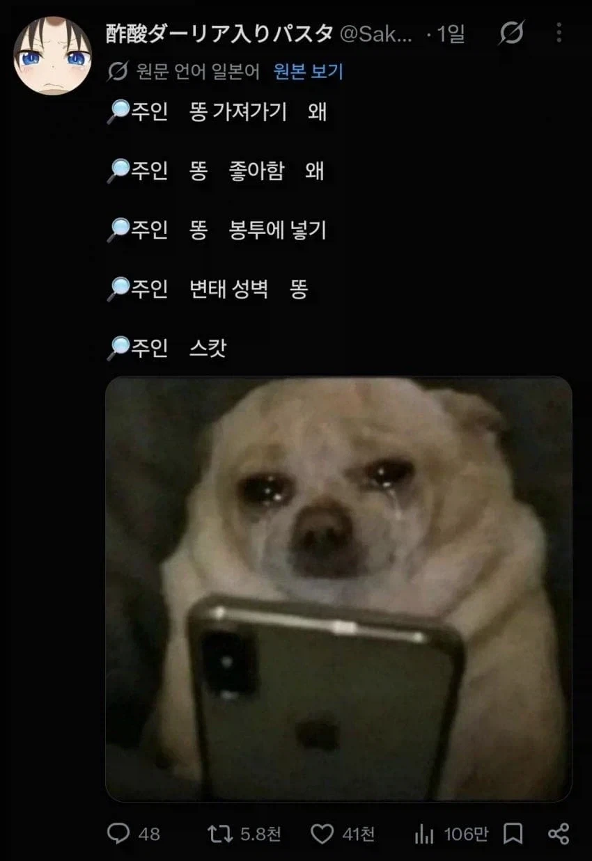 주인님을 걱정하는 강아지_1.webp