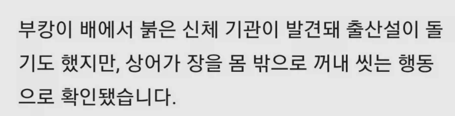 장꺼내 씻는 부캉이_3.webp