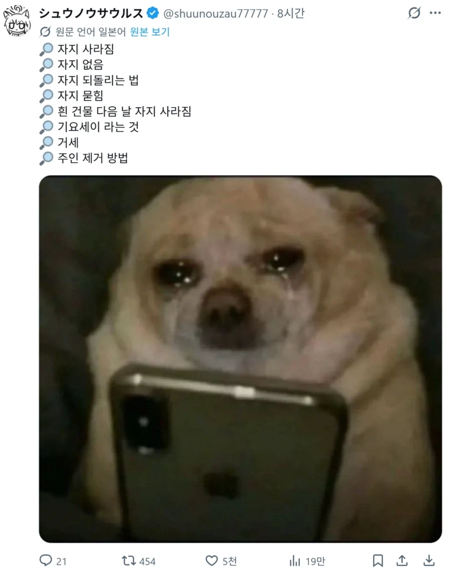 어느 개의 검색 기록_1.webp