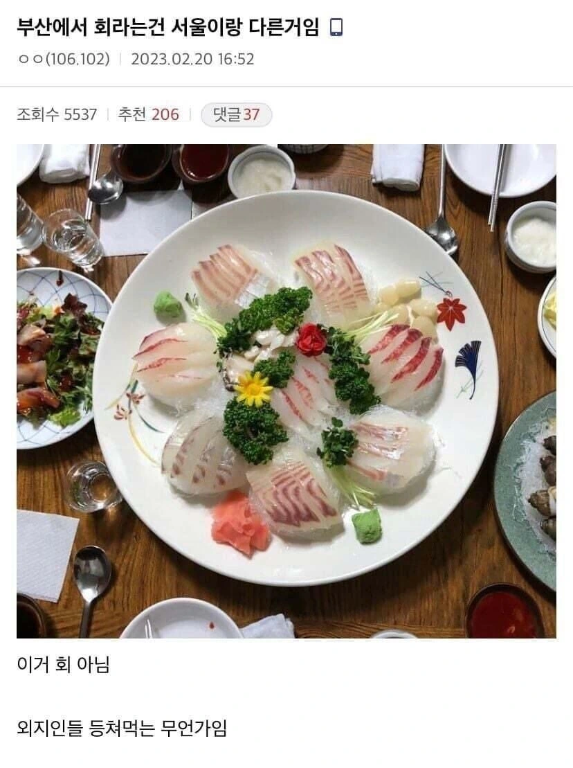 부산에서 회라는건 서울이랑 다른거임_1.jpg