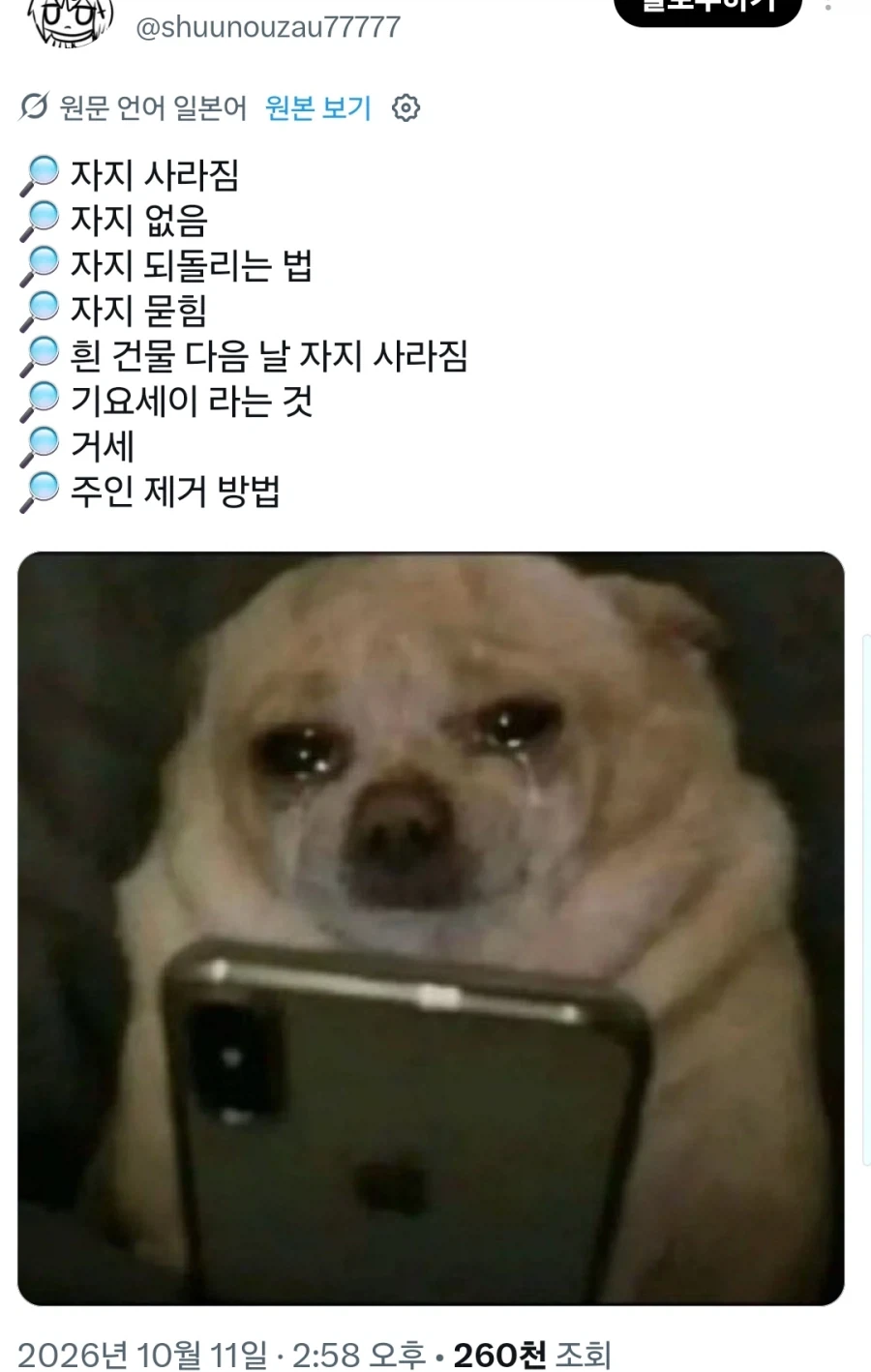 강아지가 핸드폰을 쓸 수 있다면_1.webp