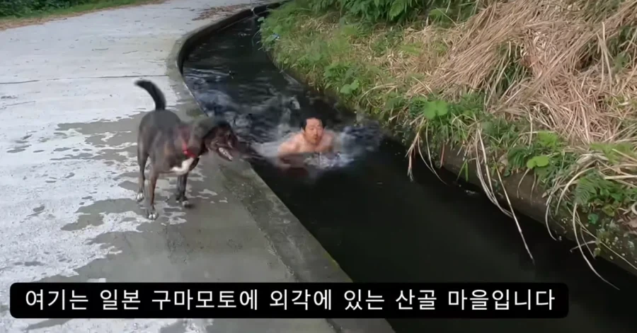 유튜브)조회수 급폭발하면 뜨나보넹_2.webp