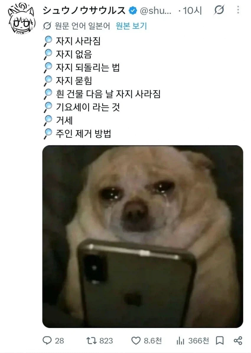 너무나 슬픈 강아지_1.webp