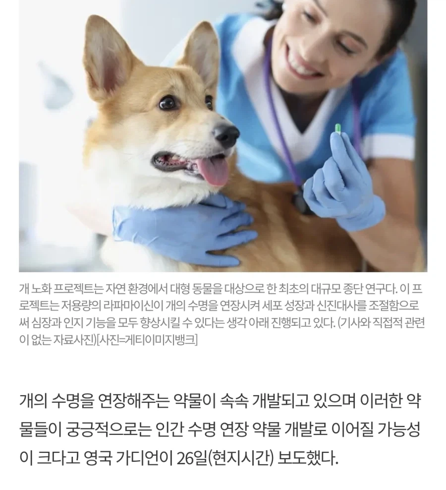 인간은 냅두고 왜 자꾸 동물들만 특이점 맞이하냐.jpg_2.webp