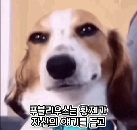 로마 황제에게 무리수를 던진 평민의 최후.jpg_14.webp