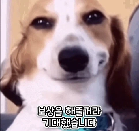 로마 황제에게 무리수를 던진 평민의 최후.jpg_15.webp