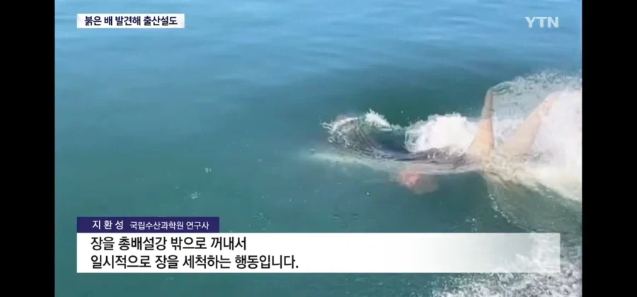 와 부캉이 진짜 관종 맞나봐 장기자랑까지 하네_1.webp