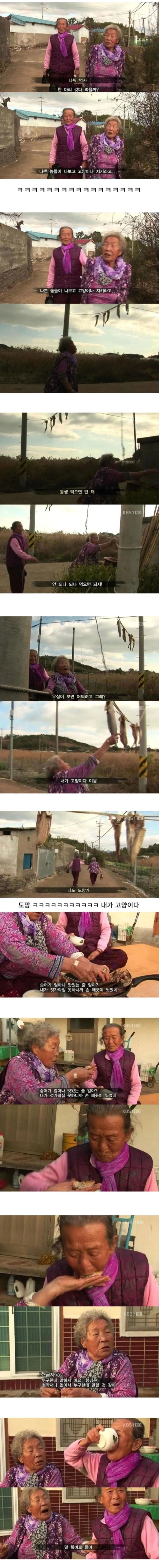 고양이가 생선 안 먹게 봐달라는 할머니_1.webp