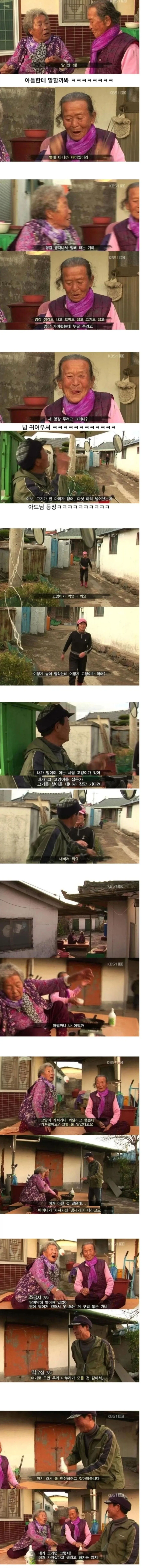 고양이가 생선 안 먹게 봐달라는 할머니_2.webp