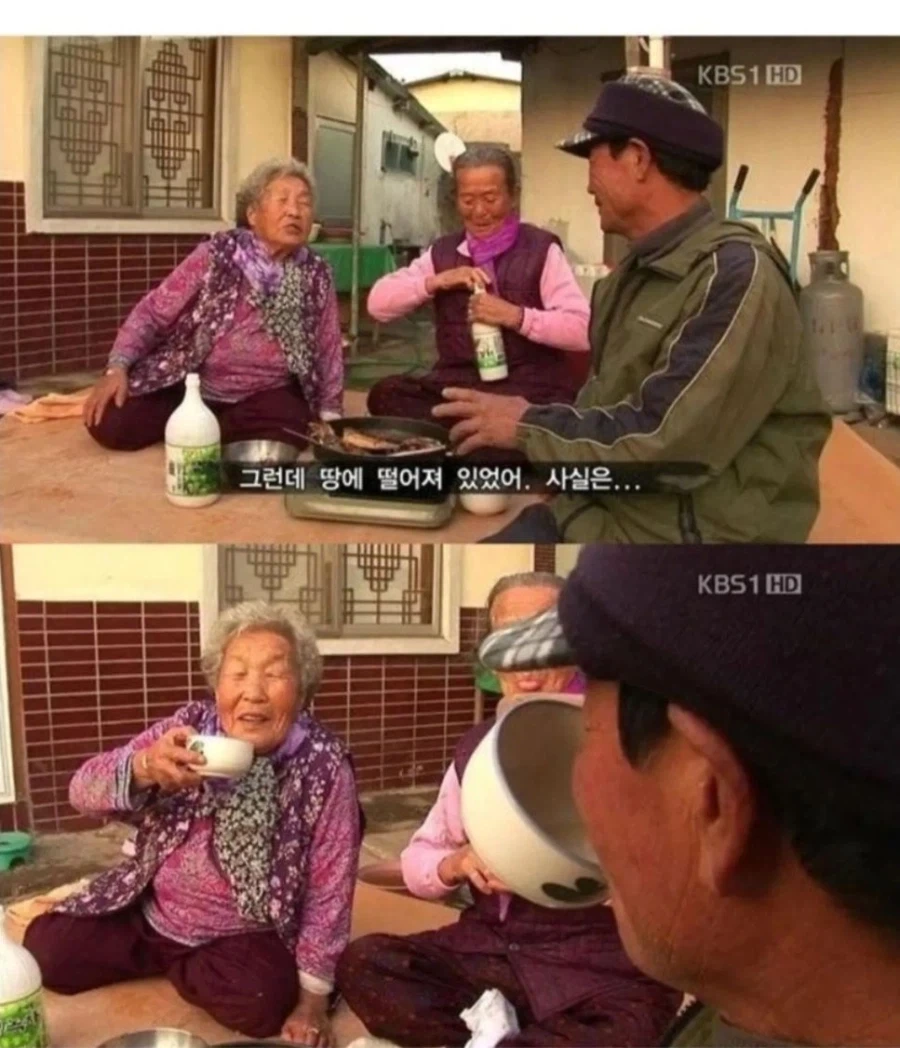 고양이가 생선 안 먹게 봐달라는 할머니_3.webp