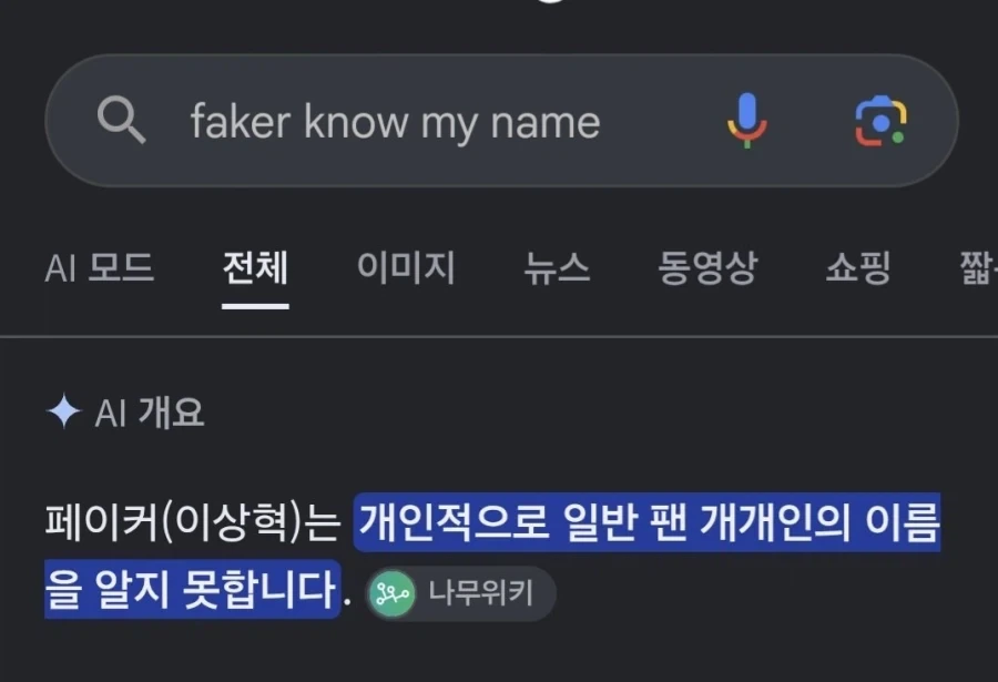 페이커 뮤비를 구글에 검색한 결과_1.webp