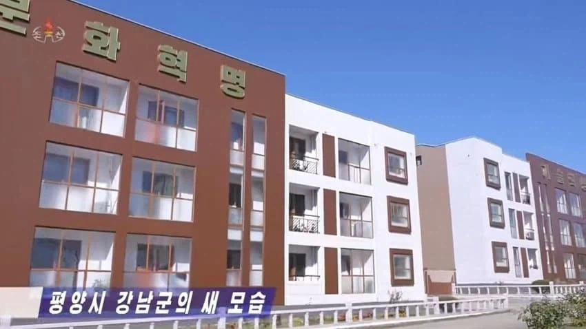 강남의 새로운 모습_4.webp