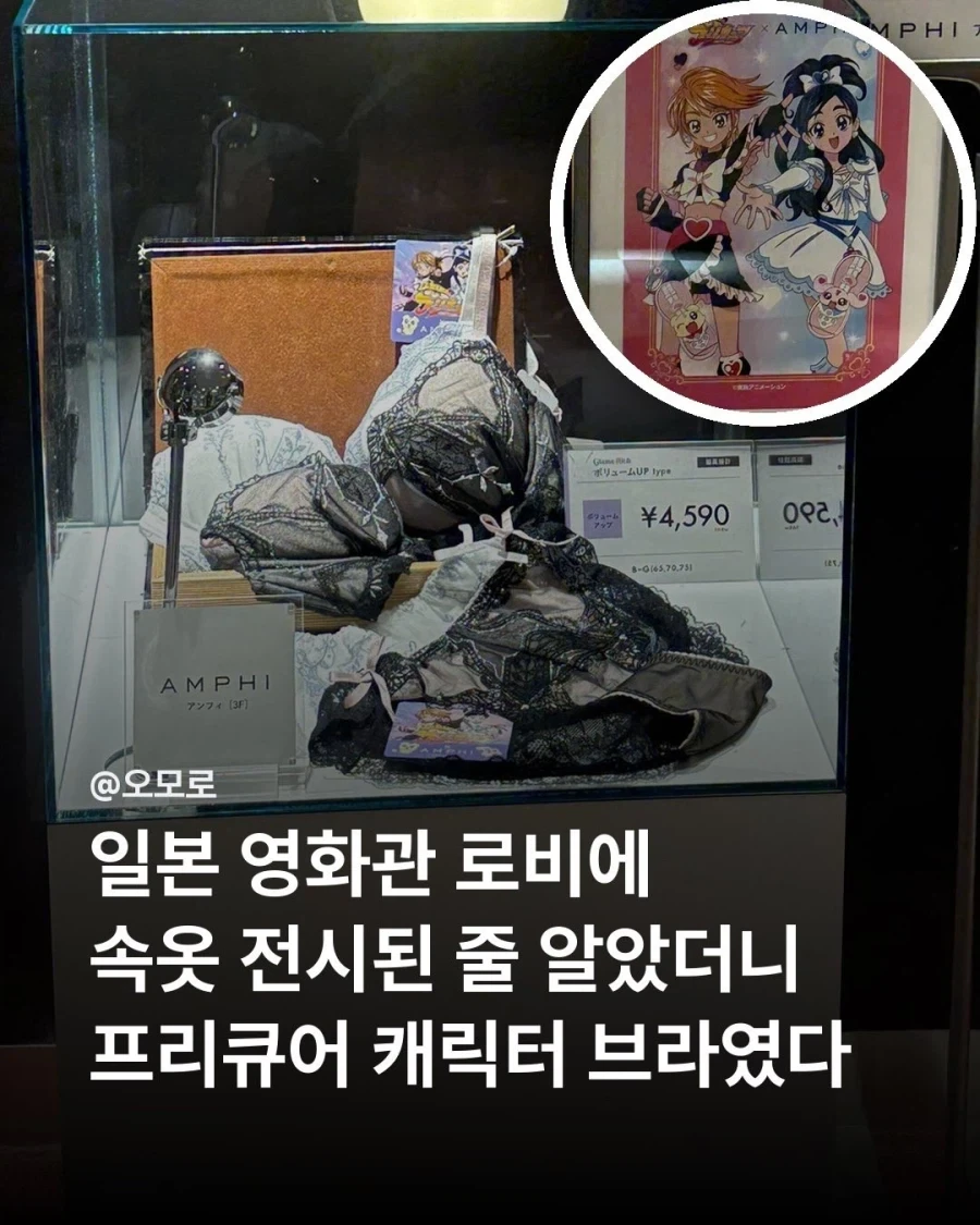 일본 영화관에 전시된 속옷..._1.webp