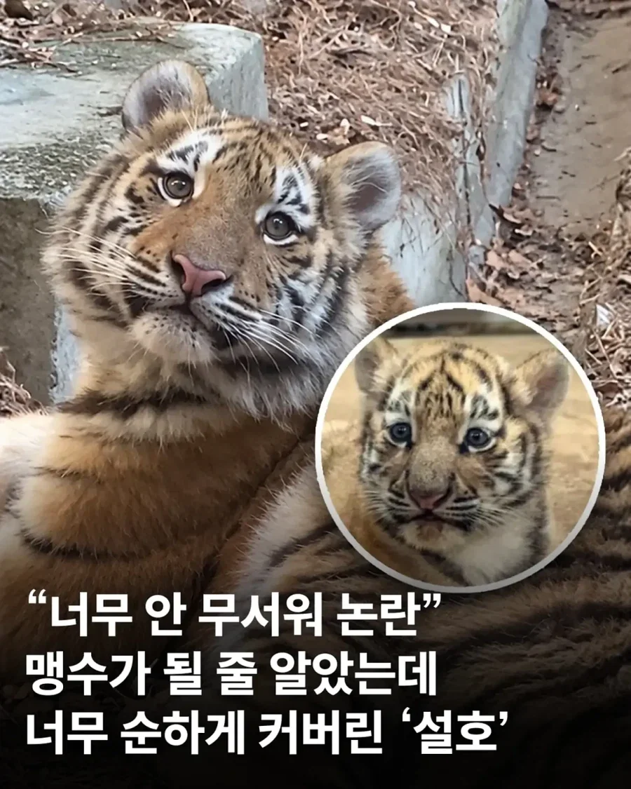 가족들과 다른 외모.jpg_1.webp
