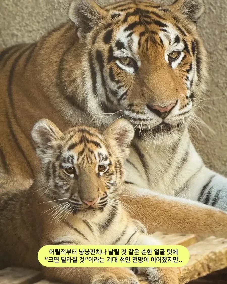 가족들과 다른 외모.jpg_4.webp