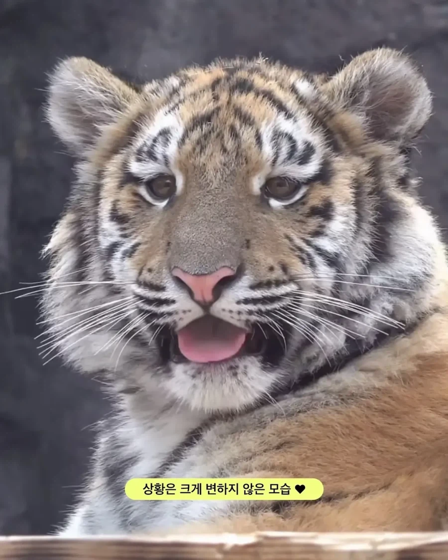 가족들과 다른 외모.jpg_5.webp