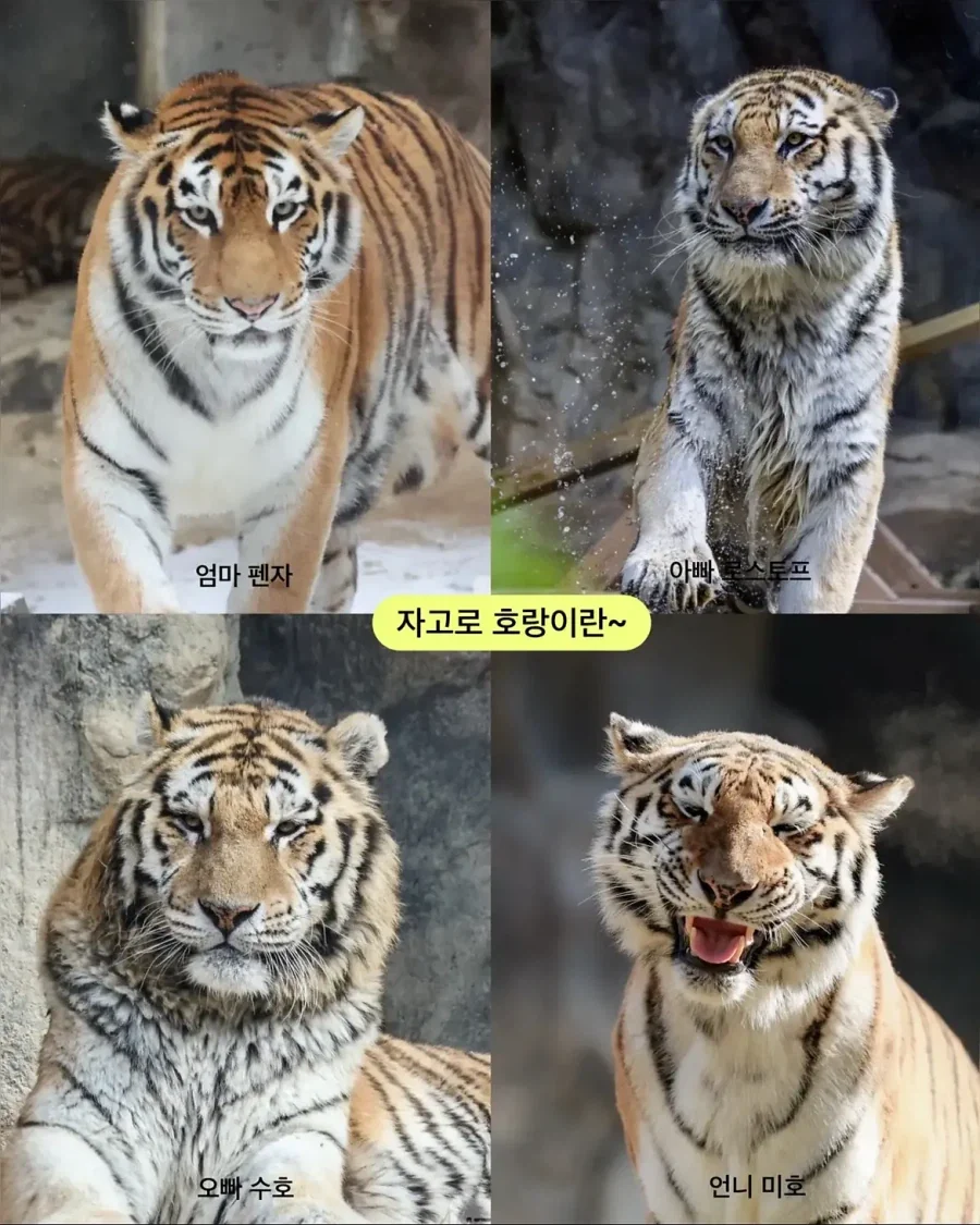 가족들과 다른 외모.jpg_6.webp