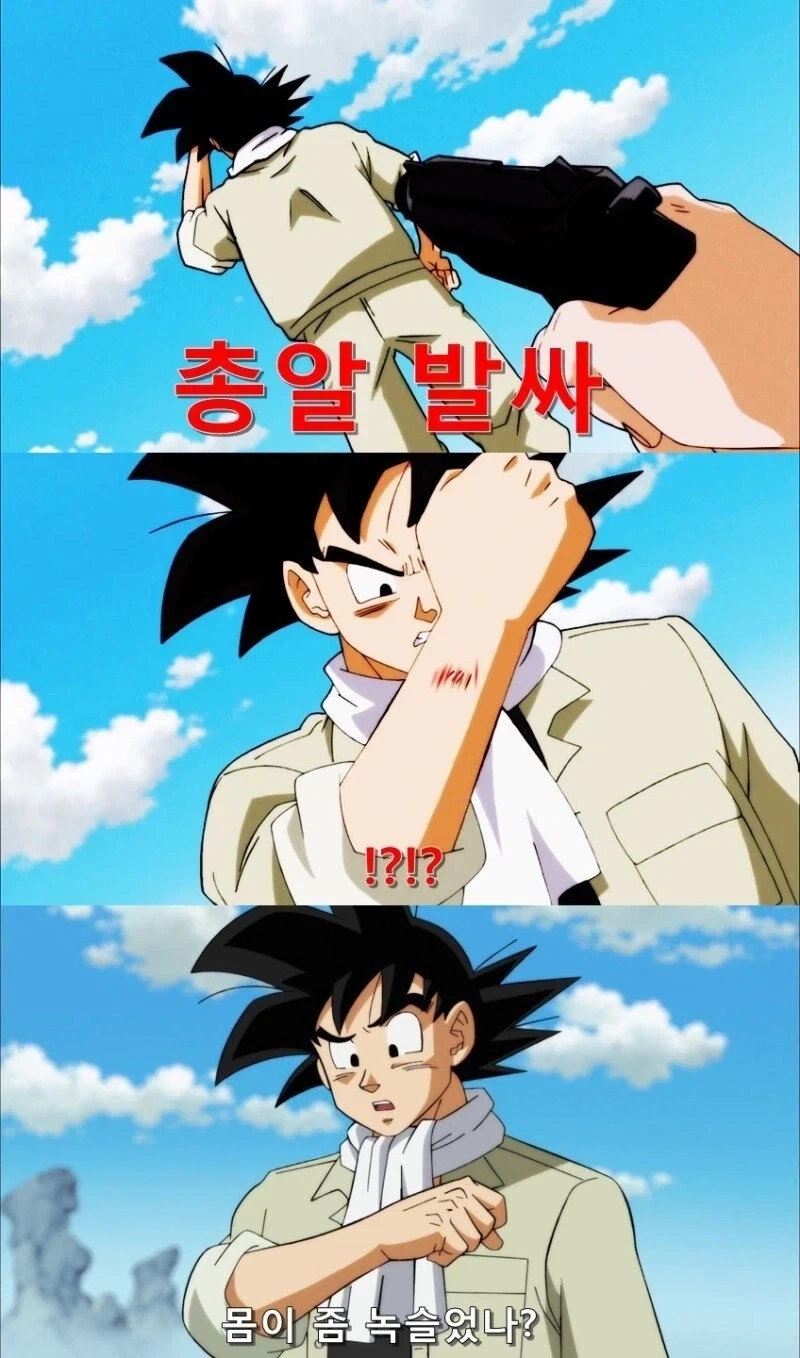 드래곤볼이 아직 소박했던 시절_4.webp