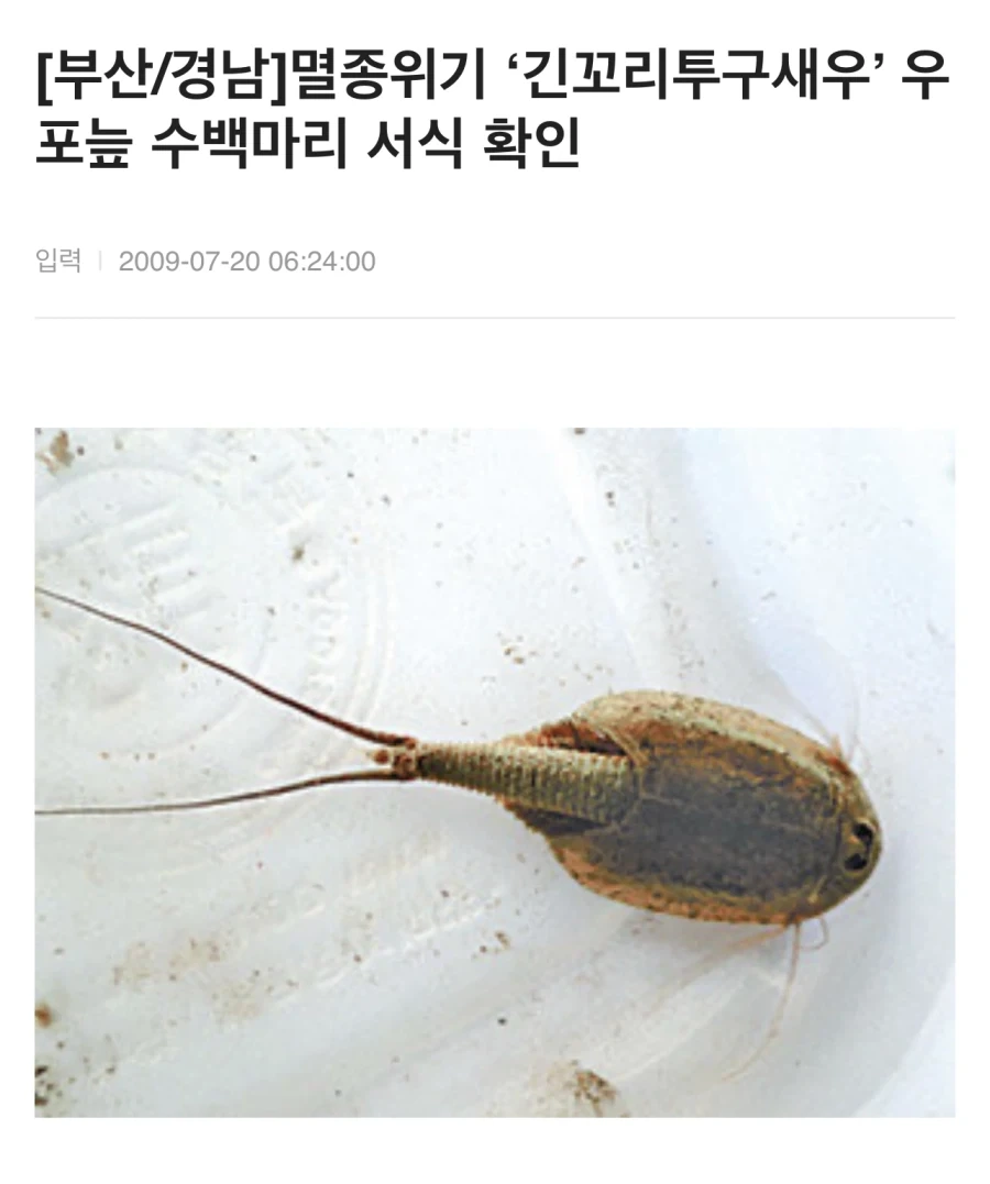 멸종위기종인 줄 알았던 동물_1.webp