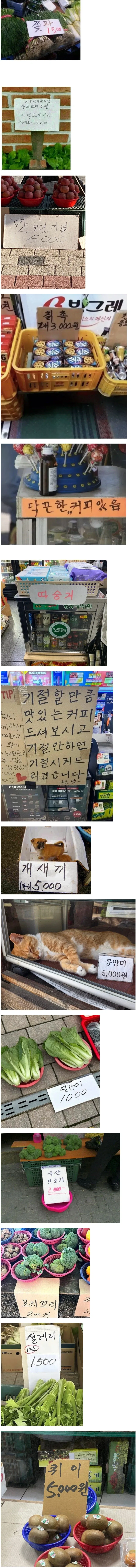 잊을만 하면 보이는 한국 시장 사진들_1.webp
