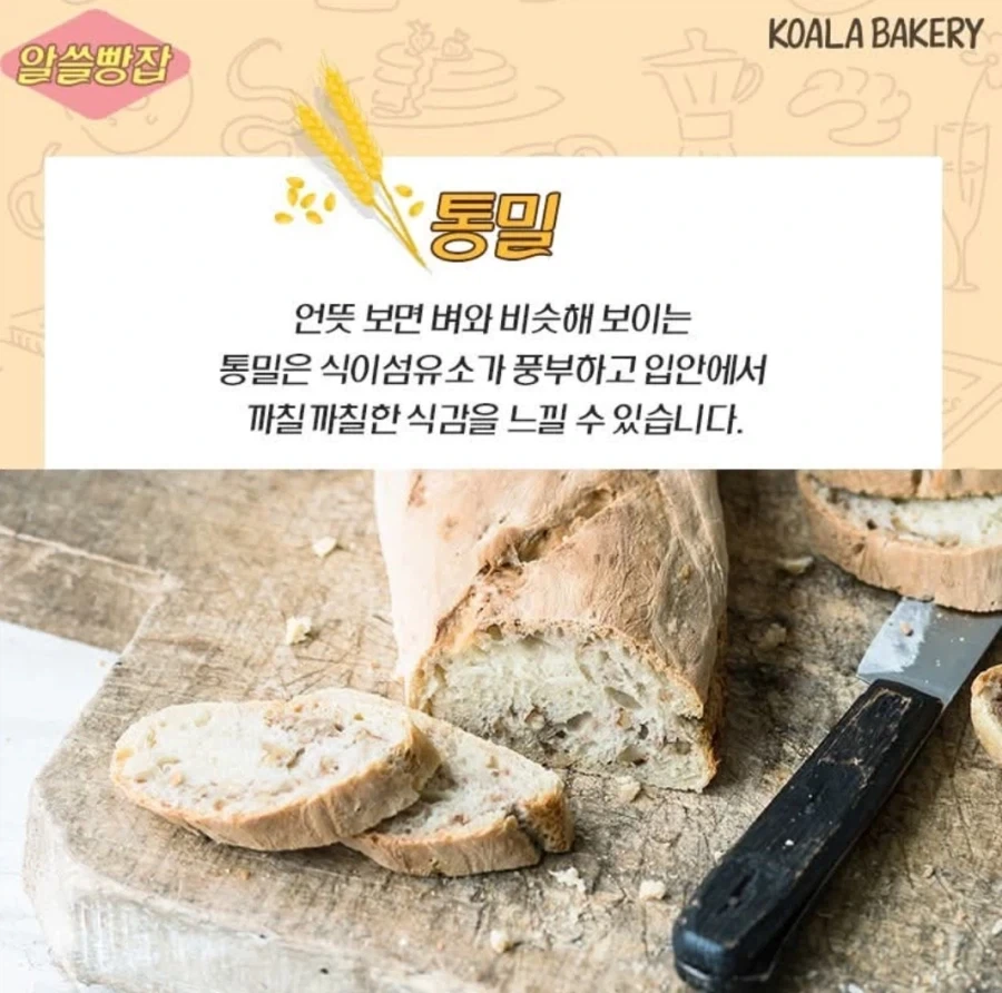 유럽권이 밀이 주식임에도 불구하고 당뇨가 상대적으로 낮은 이유_1.webp