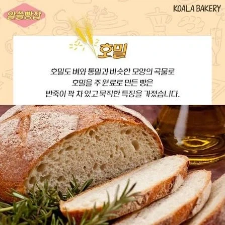 유럽권이 밀이 주식임에도 불구하고 당뇨가 상대적으로 낮은 이유_2.webp