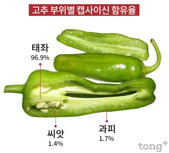 자지 의외의 상식_1.webp