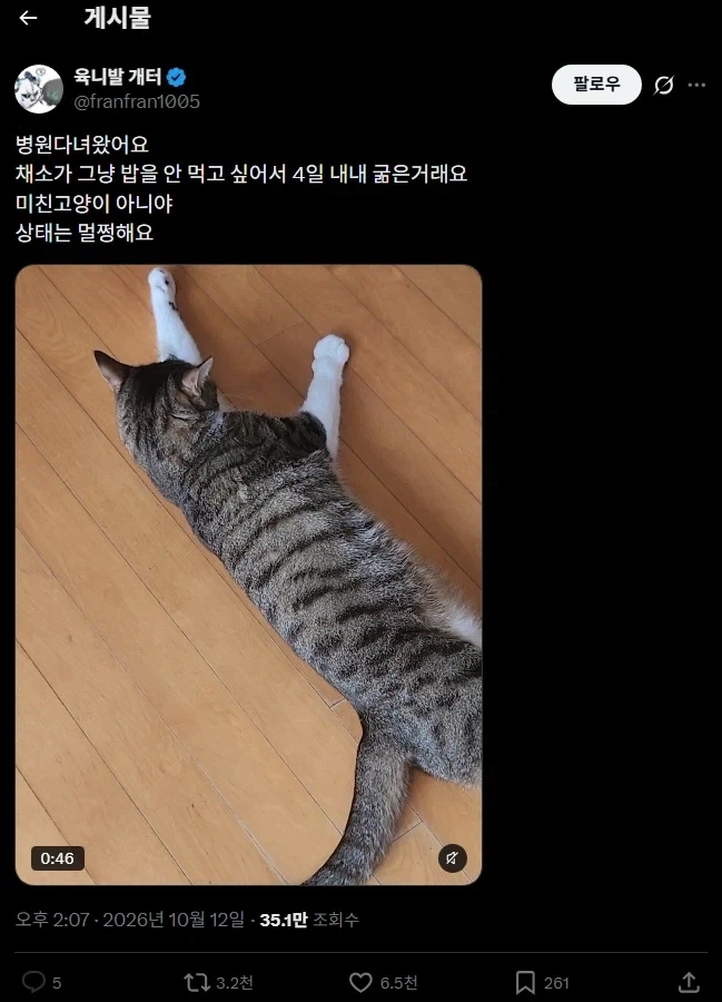 우리애가 밥을 안먹어요ㅠㅠ_1.webp