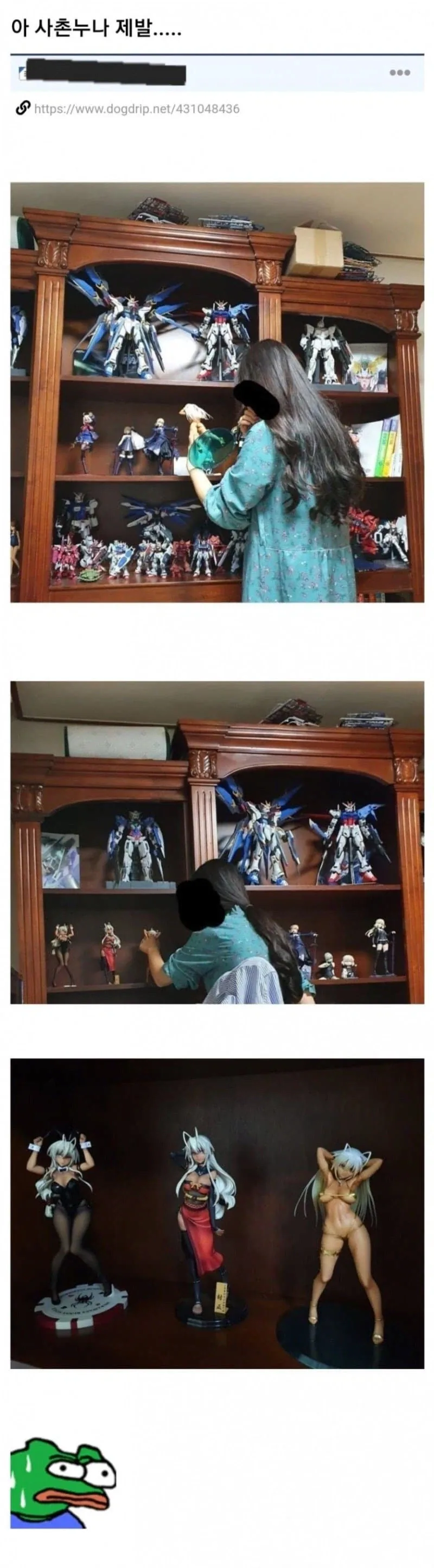 피규어 구경하는 사촌누나.....jpg_1.webp