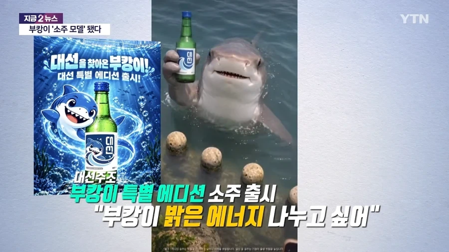 부캉이 활용 시작한 부산쪽..._1.webp