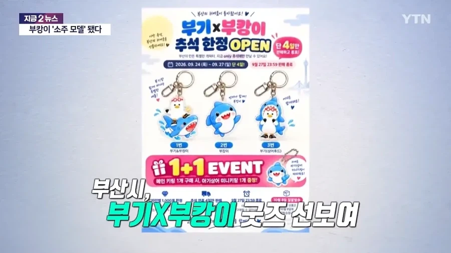 부캉이 활용 시작한 부산쪽..._3.webp