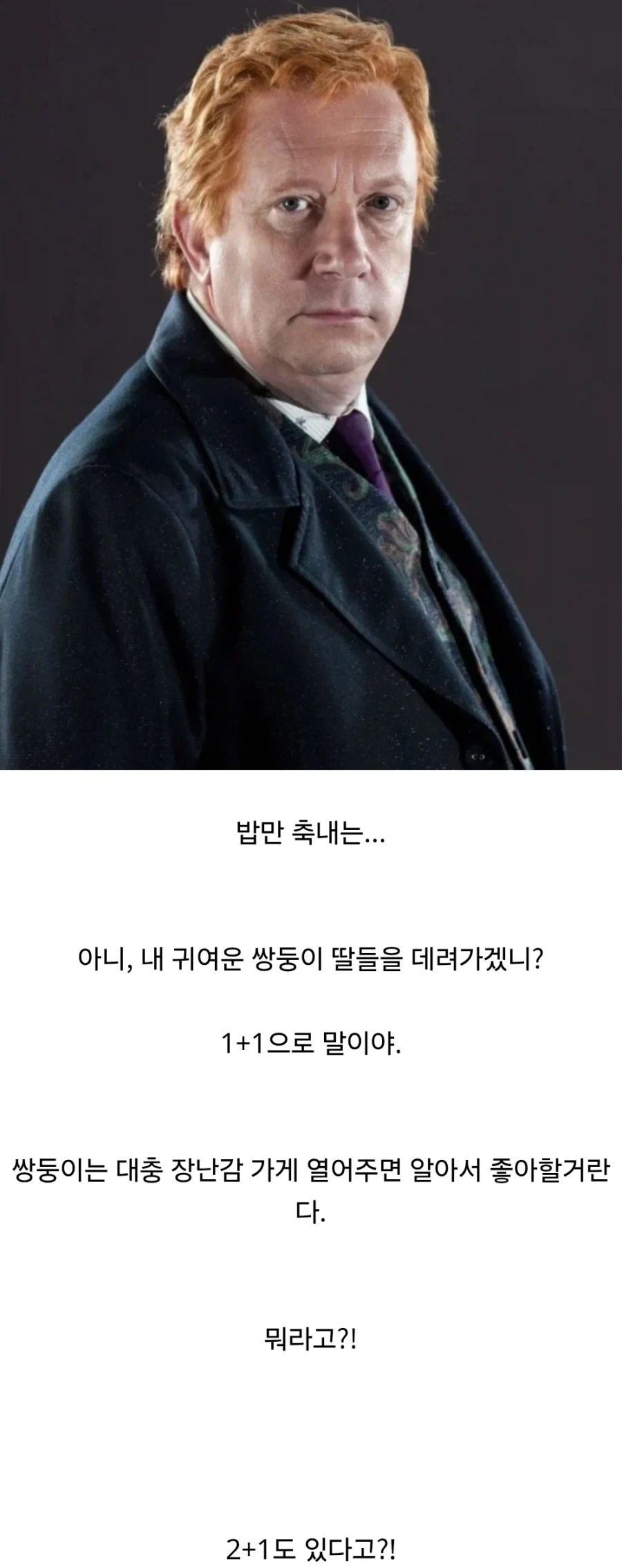 해리포터)위즐리가의 머글 문화 존중.jpg_3.webp