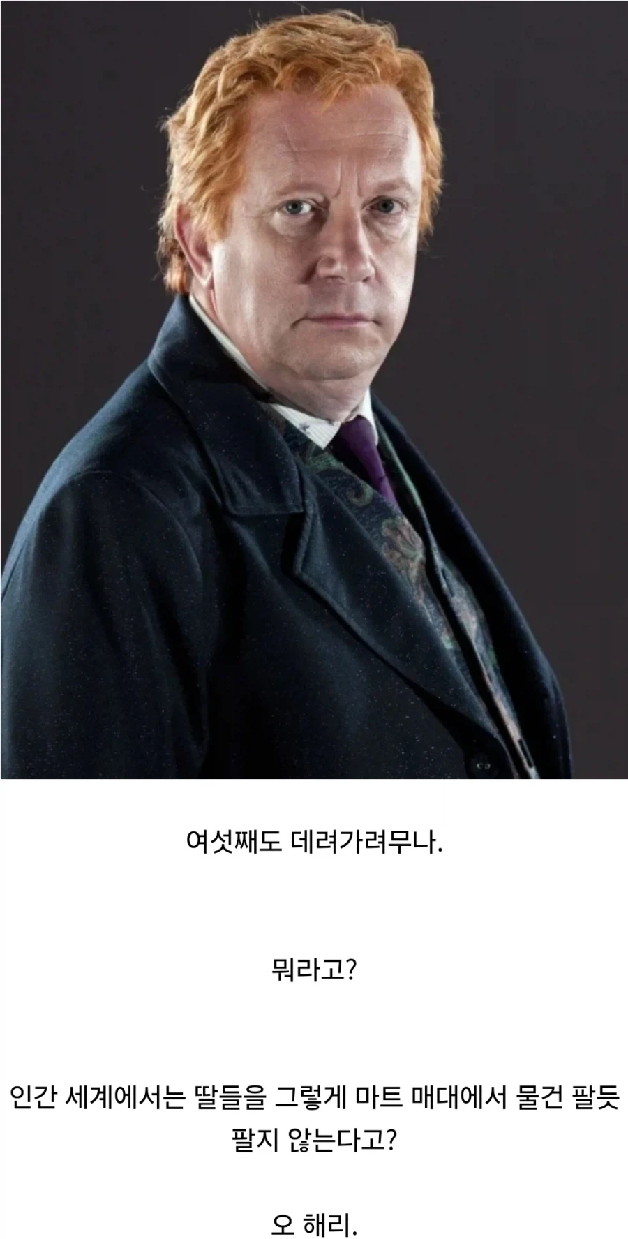 해리포터)위즐리가의 머글 문화 존중.jpg_6.webp