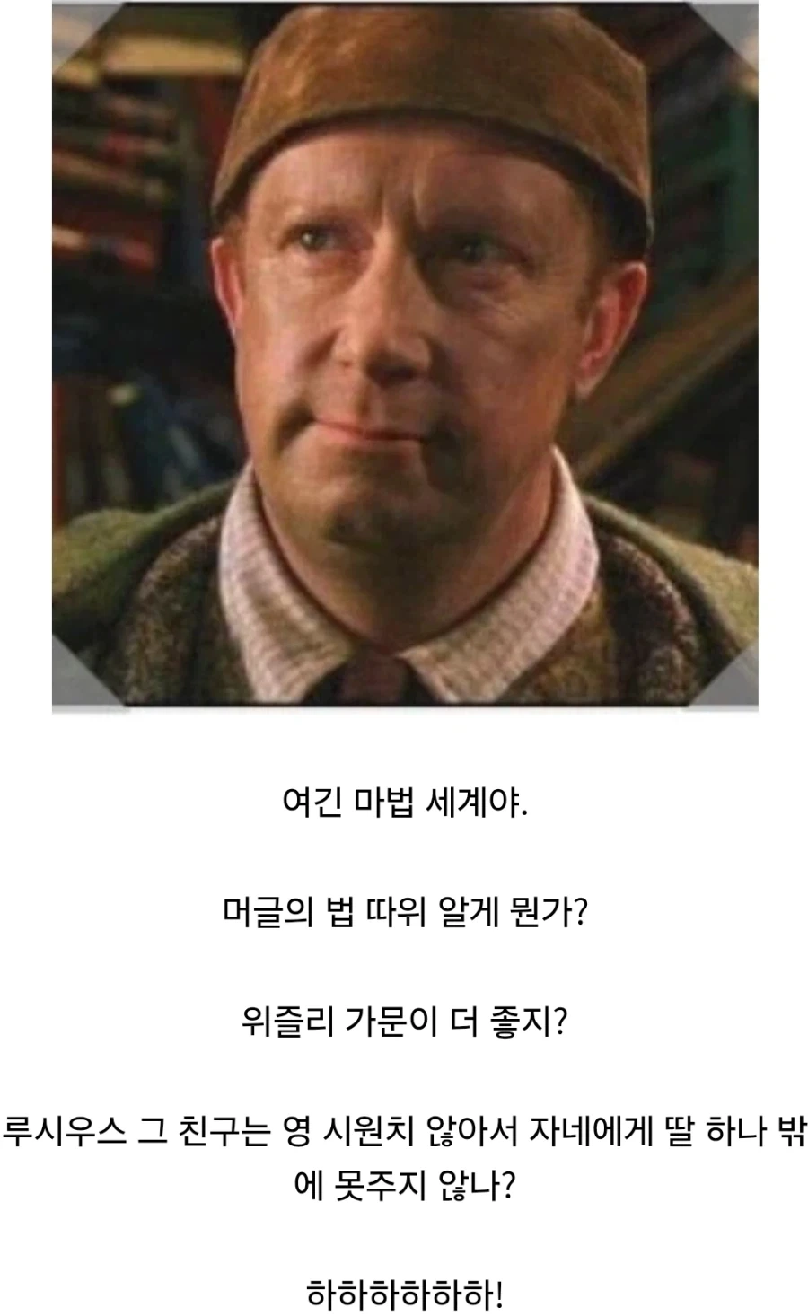 해리포터)위즐리가의 머글 문화 존중.jpg_7.webp
