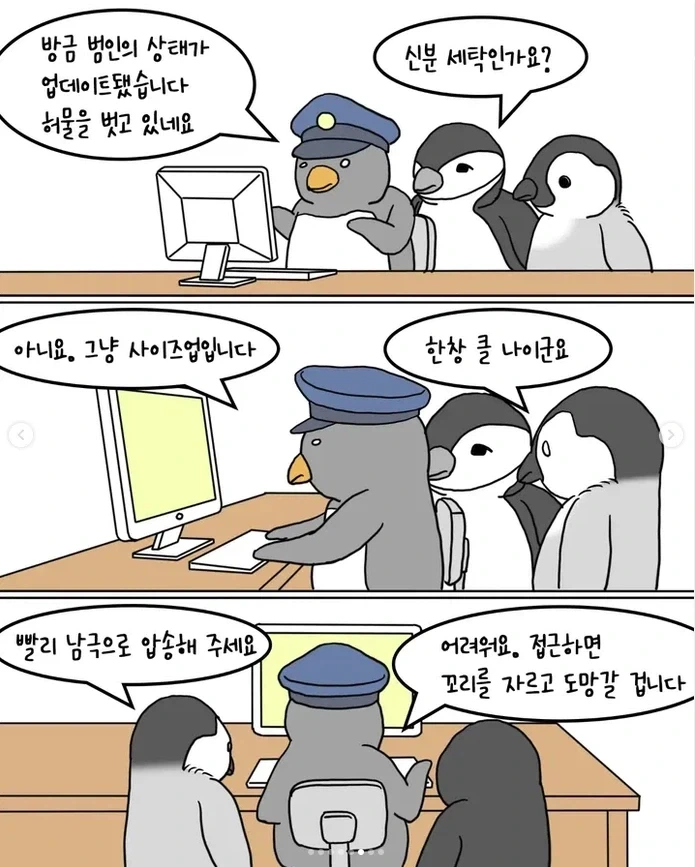 남극 펭귄 문자사기 대소동_6.webp