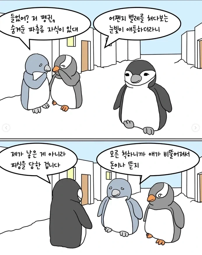 남극 펭귄 문자사기 대소동_7.webp