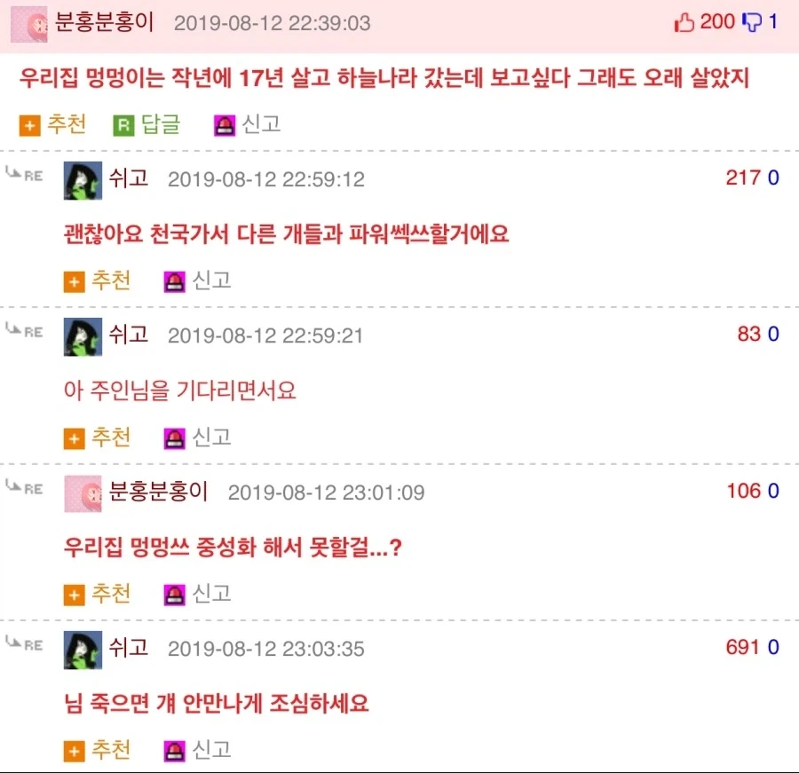 강아지랄부똑 하면 안되는 이유_1.webp