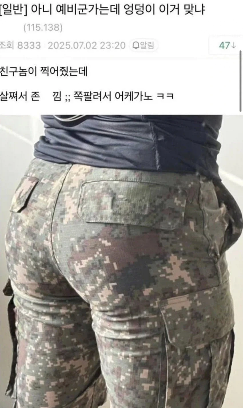 예비군 빵뎅이.jpg_1.webp