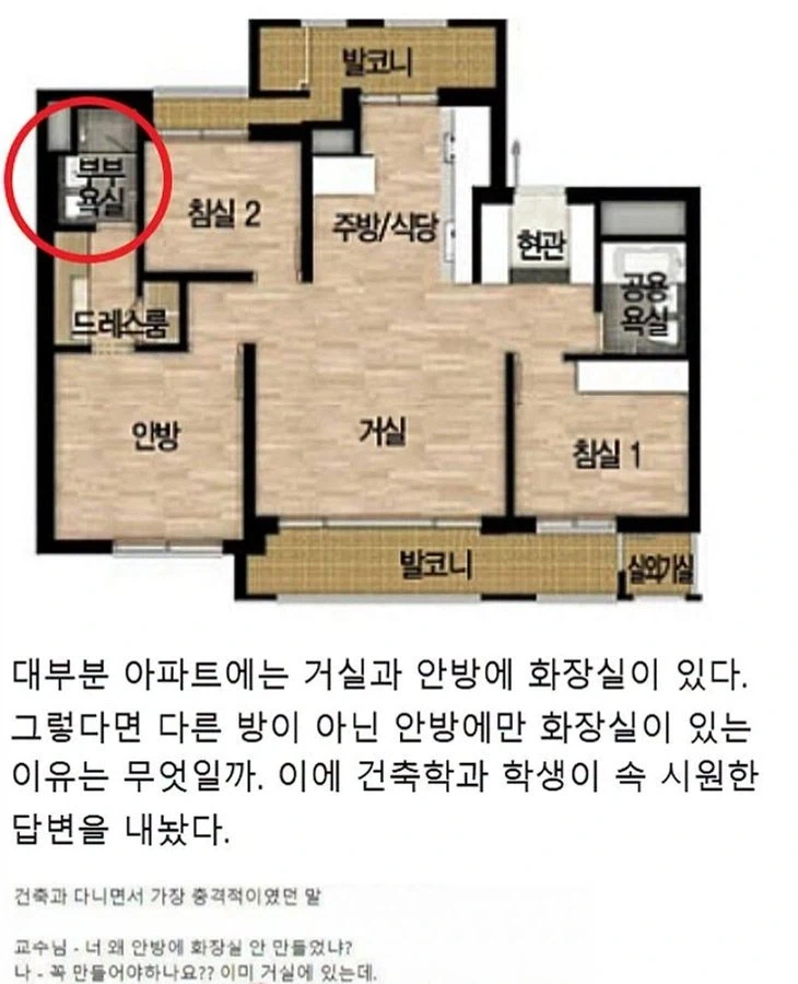 건축학과에 알려진 비밀_1.webp