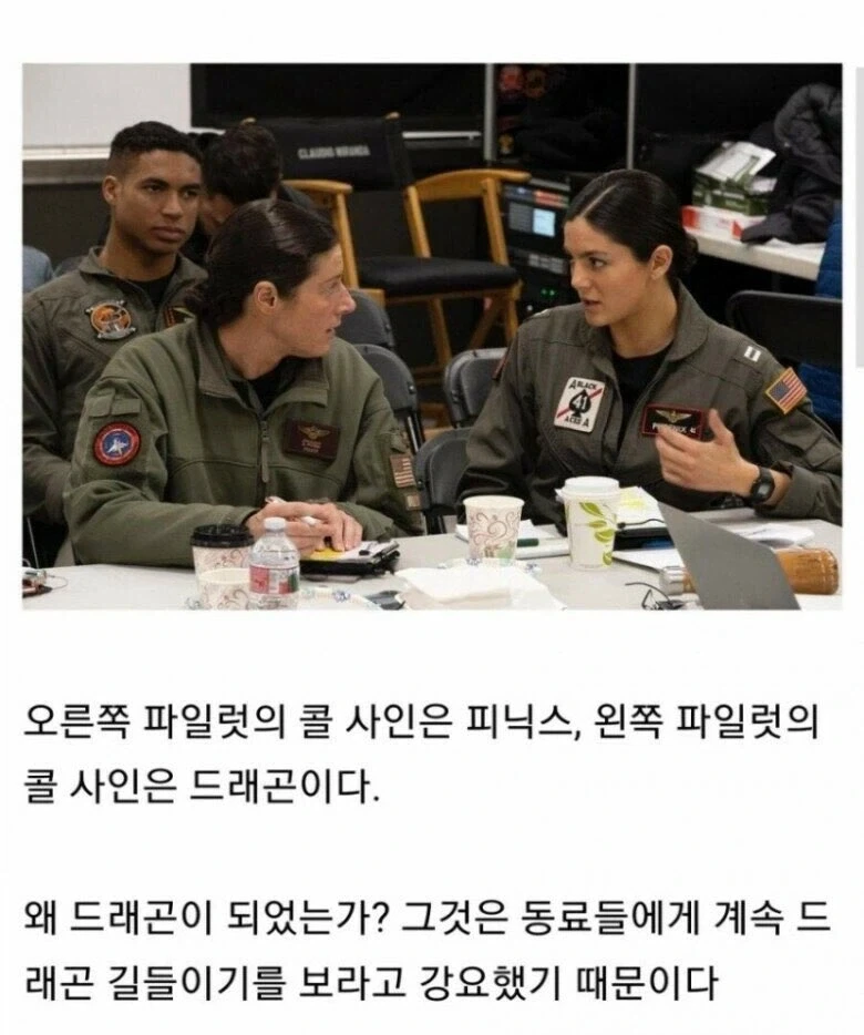 어느 파일럿의 콜 사인이 드래곤인 이유_1.webp