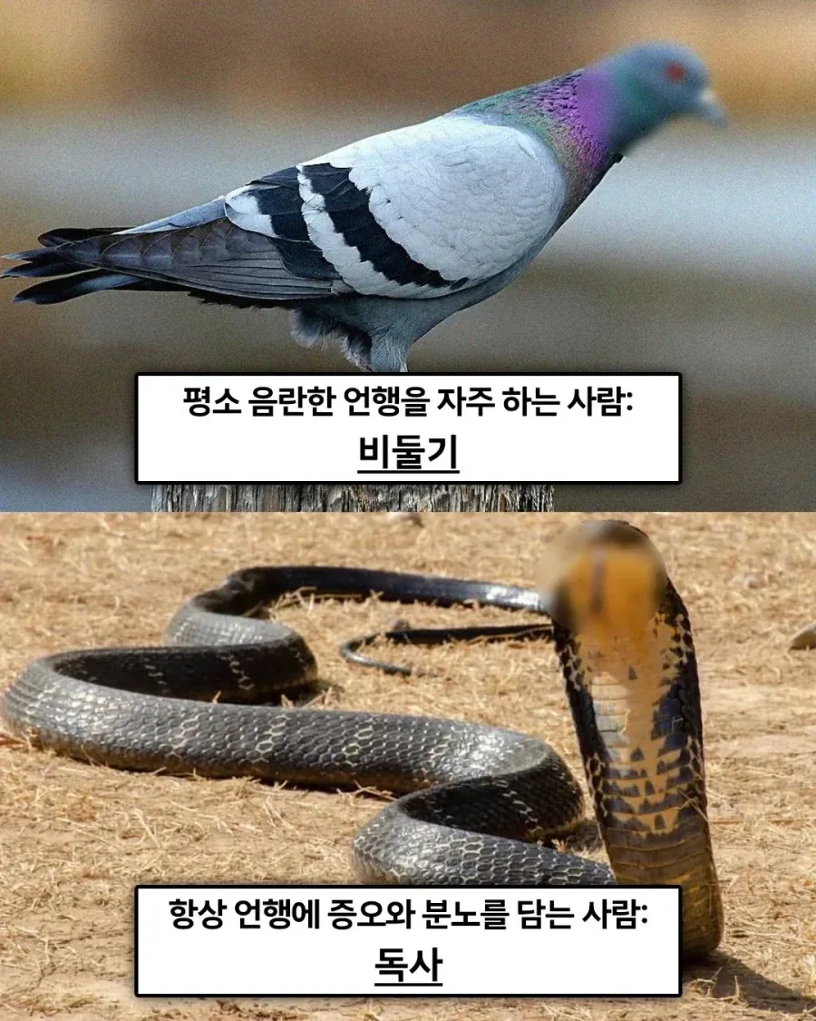 불교에선 죄업을 쌓으면 동물로 환생한다고 한다._3.webp