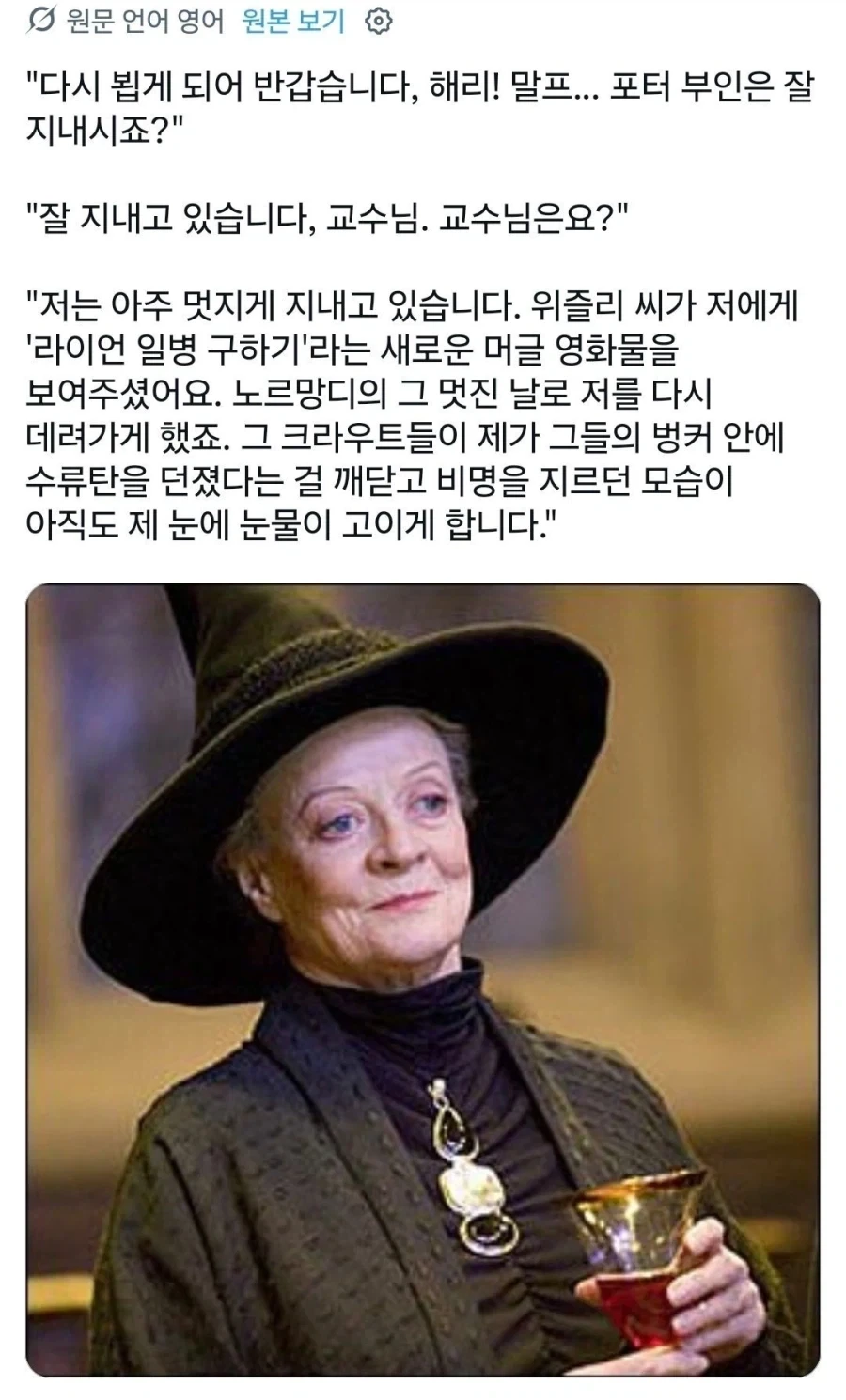 해리포터) 이상한 밈이 붙어버린 맥고나걸 교수_2.webp