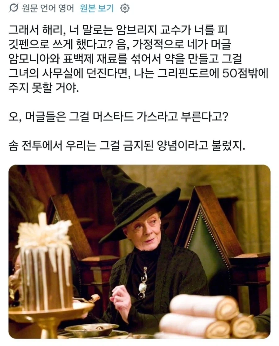 해리포터) 이상한 밈이 붙어버린 맥고나걸 교수_3.webp
