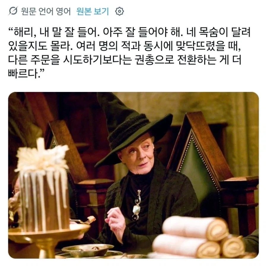 해리포터) 이상한 밈이 붙어버린 맥고나걸 교수_4.webp