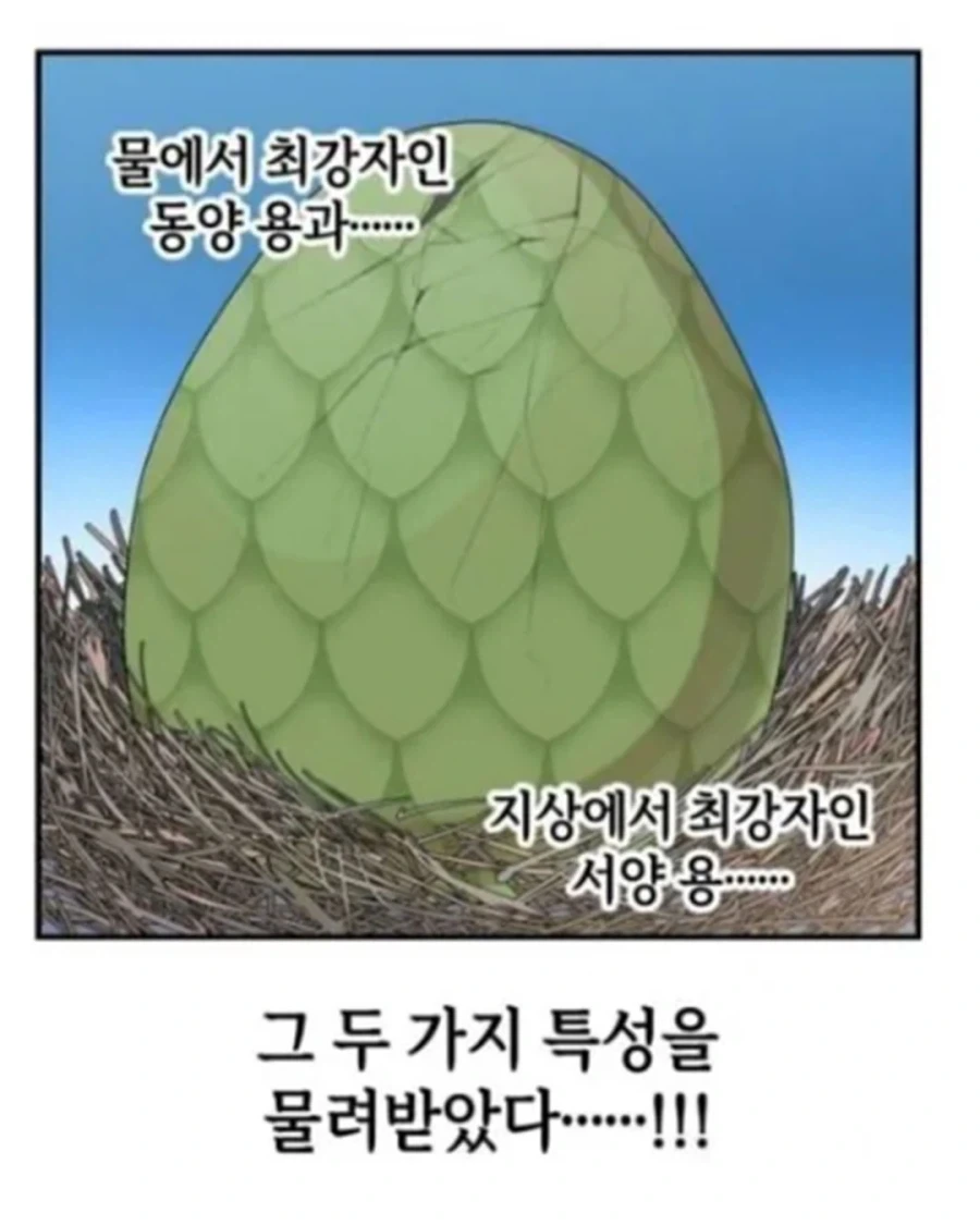 동양 용 vs 서양 용_9.webp