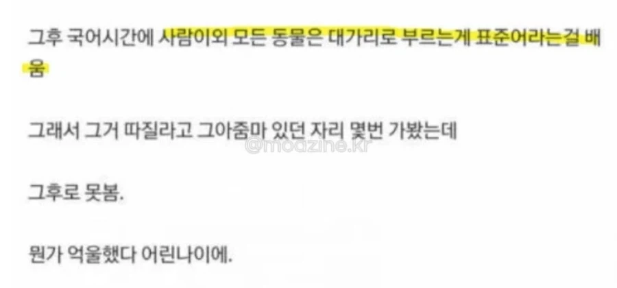 생선 사러 갔다가 욕하지 말라고 들은 사람.jpg_4.webp