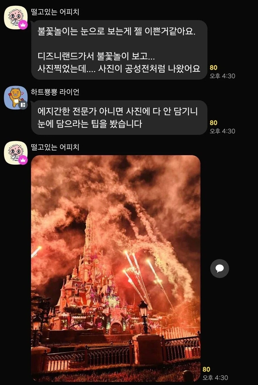 불꽃놀이는 눈으로 보는게 제일 이쁜듯.jpg_1.webp